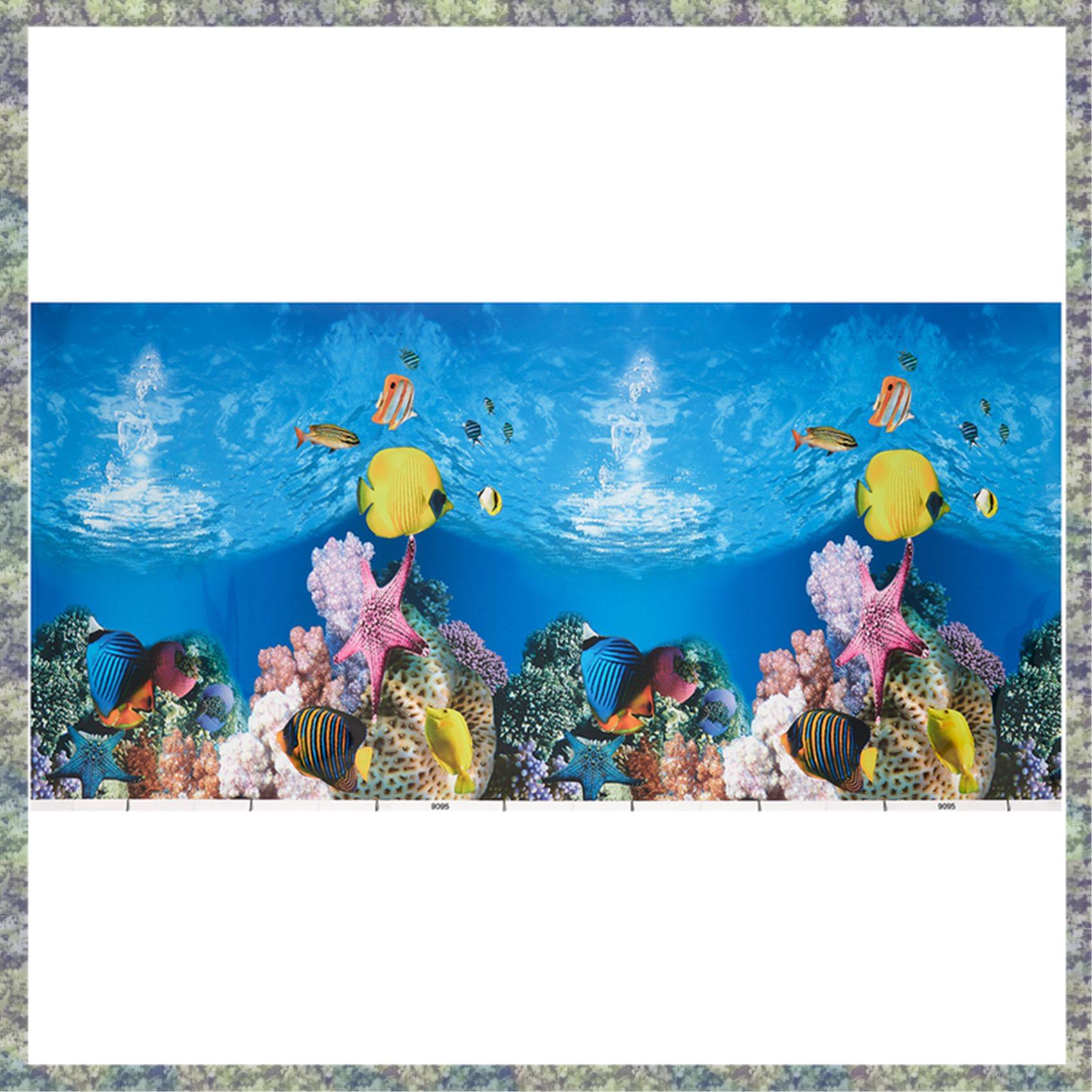 WON Acquario Sfondo Carta Imma - Aquarium Fish Wallpaper Hd recensione e prezzo