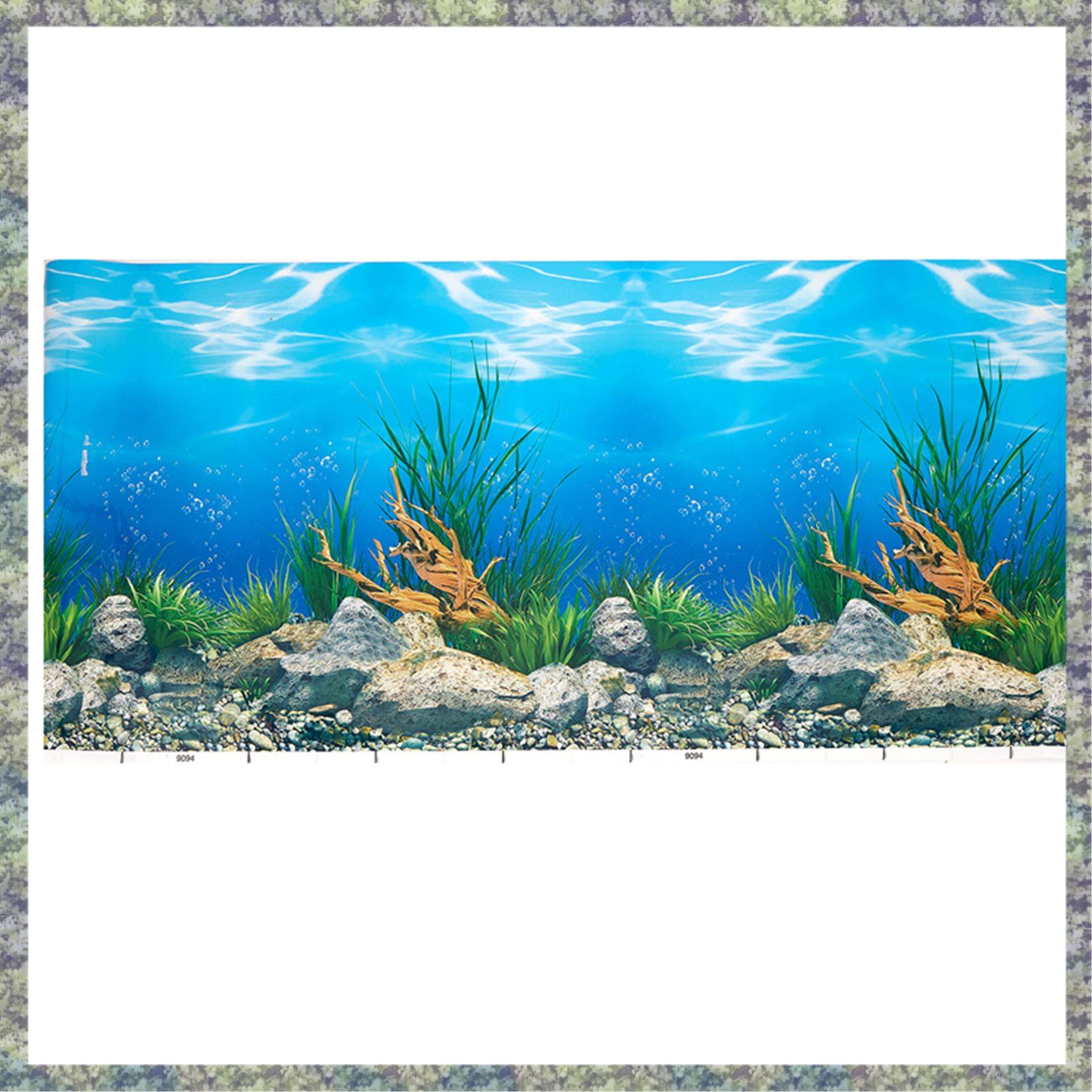 WON Acquario Sfondo Carta Imma - Aquarium Fish Wallpaper Hd recensione e prezzo