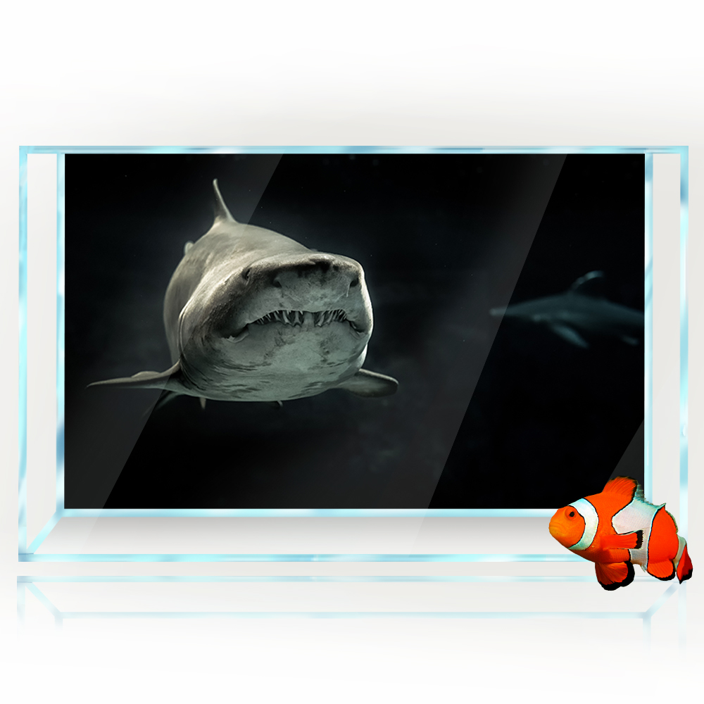 Sfondo dell'acquario 3D Shark  - Aquarium Fish Wallpaper Hd recensione e prezzo